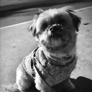 Meet your Posher, Rick